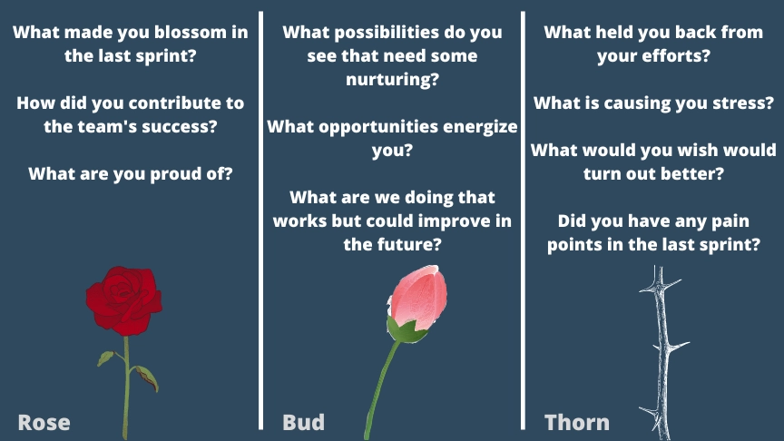 rose bud thorn template
